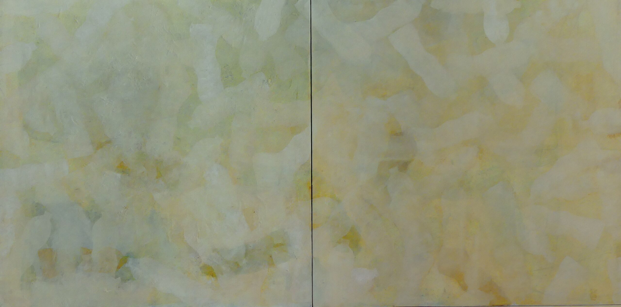 peinture-a-l-huile - en -lien-avec-la representation du-continent-appelé-communément-la-soupe-plastique