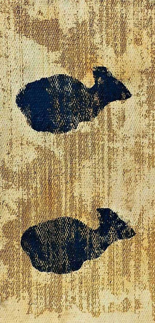 Lagomorphes 16 a Lagomorphes 16 a