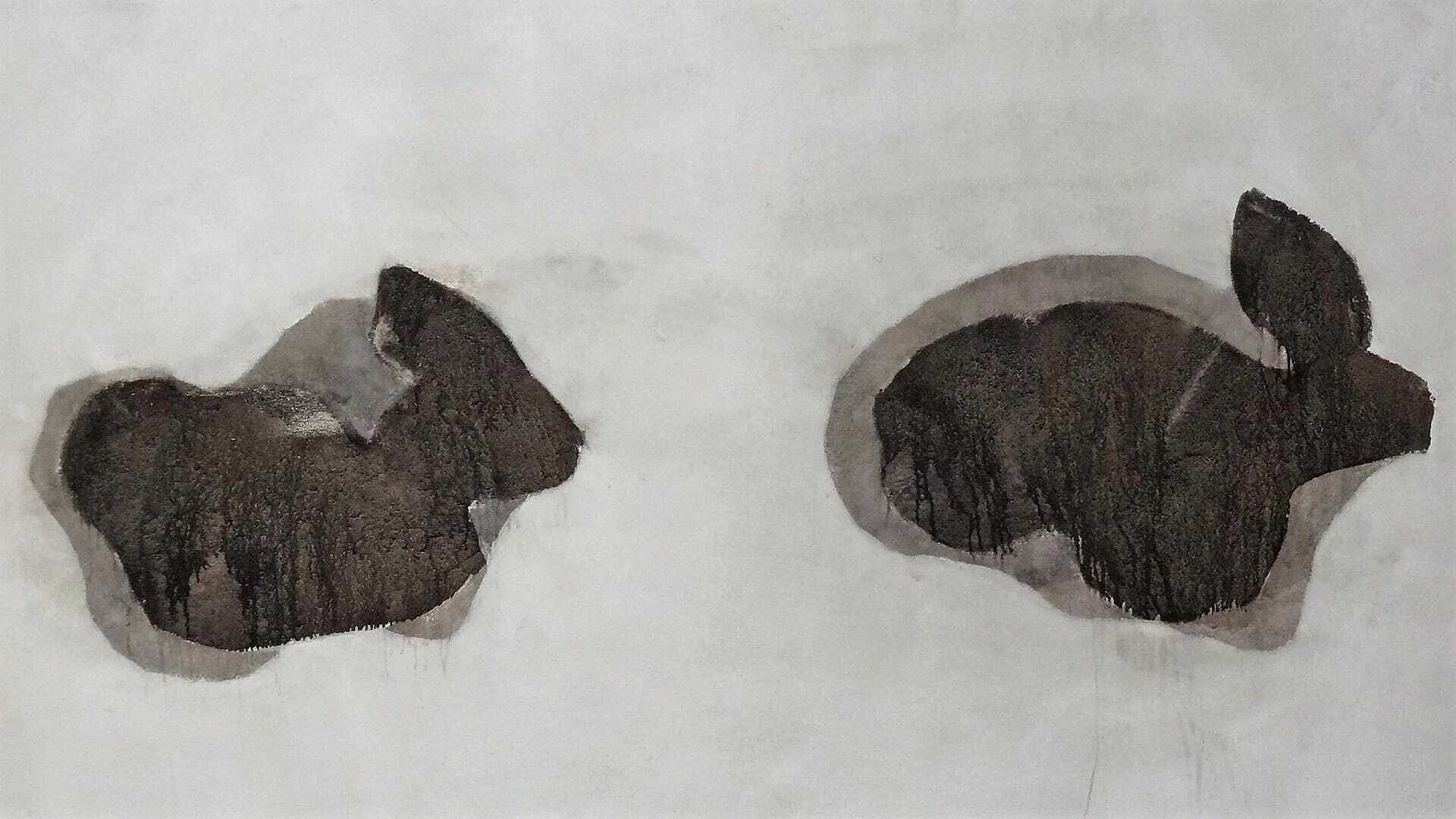 lagomorphes lagomorphes